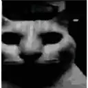 Lucid Normie