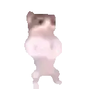 Chad Ape