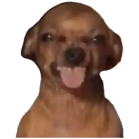 Rabid Chad