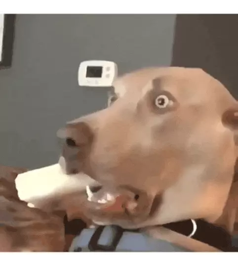 Smug Boomer